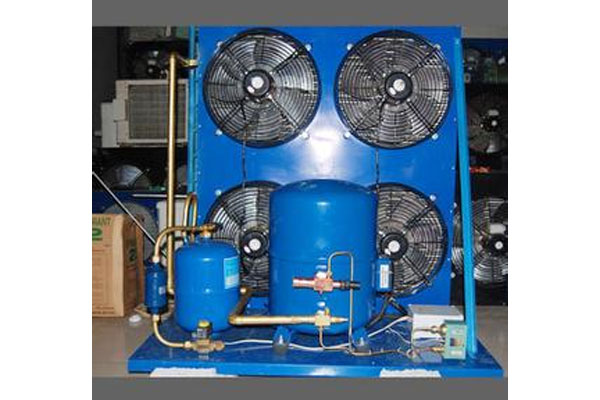 France and the United States and gifted musicians totally enclosed fan cooled compressor