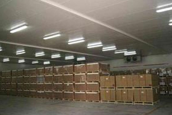 Large cold storage facilities